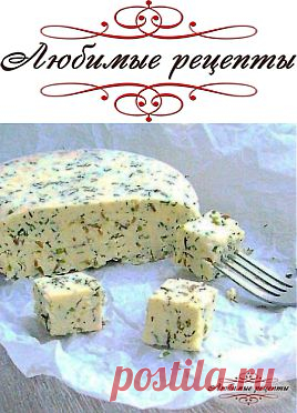 Домашний сыр с зеленью и тмином &raquo; Любимые рецепты