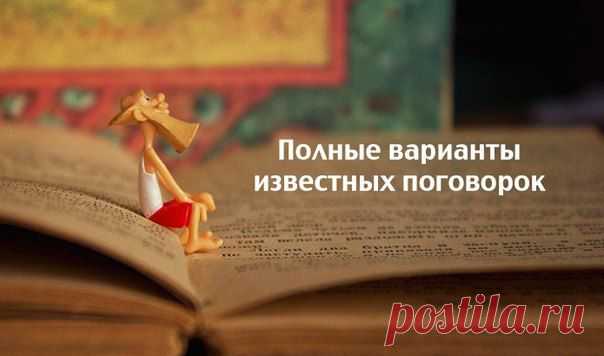 Почему мы ошибаемся, когда говорим какую-нибудь известную поговорку?