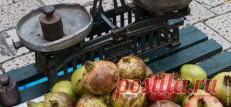 Хорватия. Местные рынки - рай для гурмана Каждый день мы узнаем о новой тенденции в еде. Однако, есть места, где на протяжении веков ежедневно подают органические, свежие ингредиенты местного производства в соответствии с сезоном, и это — хор...