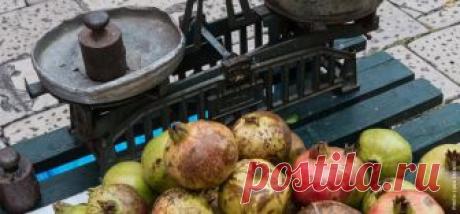 Хорватия. Местные рынки - рай для гурмана Каждый день мы узнаем о новой тенденции в еде. Однако, есть места, где на протяжении веков ежедневно подают органические, свежие ингредиенты местного производства в соответствии с сезоном, и это — хор...