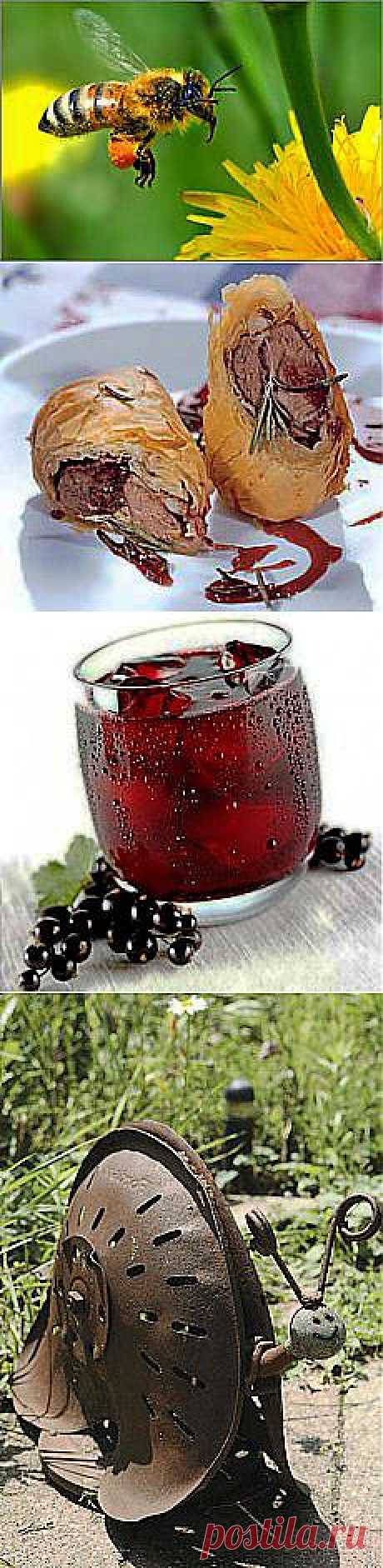 ❀ Барашек в тесте. Мёд на даче. Польза морской воды. Вино из смородины. Трактор // Кусочек Постилы к чаю! - shaporeva.valentina@mail.ru - Почта Mail.Ru