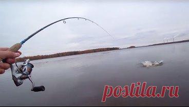 Этот воблер ловит всегда и везде.Ловля щуки и окуня.Лучший воблер.Рыбалка 2018.Рыбалка на спиннинг.