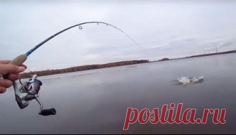 Этот воблер ловит всегда и везде.Ловля щуки и окуня.Лучший воблер.Рыбалка 2018.Рыбалка на спиннинг.