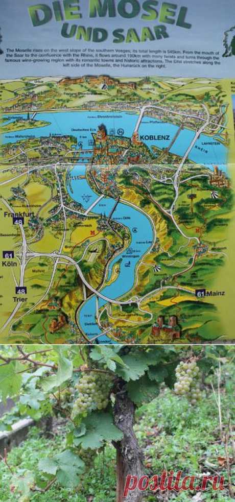 Винная дорога Мозеля | ПО ГОРОДАМ И СТРАНАМ