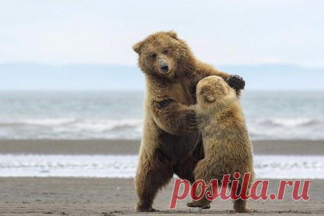 Интересные новости