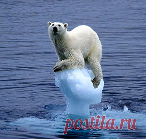 Природа — Страница 5 — National Geographic Россия