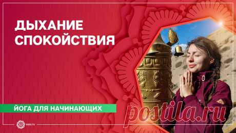 Йога для начинающих. Комплекс «Дыхание спокойствия». Алла Долгова Видеопортал клуба oum.ru посвященный йоге, саморазвитию и духовному совершенствованию. На нашем сайте Вы сможете найти все о йоге для начинающих и опытных практиков, о базовых техниках и понятиях, йога видео об упражнениях – асанах, о дыхательных техниках – пранаямах, о мантрах и медитации для начинающих