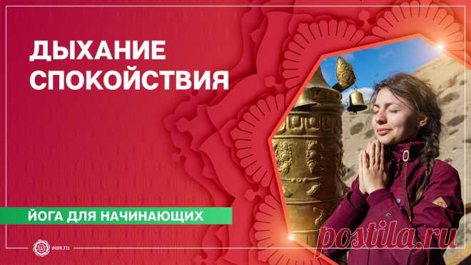 Йога для начинающих. Комплекс «Дыхание спокойствия». Алла Долгова Видеопортал клуба oum.ru посвященный йоге, саморазвитию и духовному совершенствованию. На нашем сайте Вы сможете найти все о йоге для начинающих и опытных практиков, о базовых техниках и понятиях, йога видео об упражнениях – асанах, о дыхательных техниках – пранаямах, о мантрах и медитации для начинающих