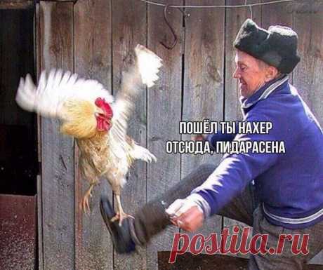 Чёрный юмор