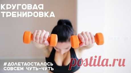 Круговая тренировка