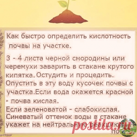 Полезная шпаргалка по проверке кислотности почвы