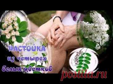 БОЛЯТ КОЛЕНИ.КРУТИТ СУСТАВЫ. АРТРИТ,АРТРОЗ,ОСТЕОХОНДРОЗ - 4 белых цветка вот наше спасение от боли