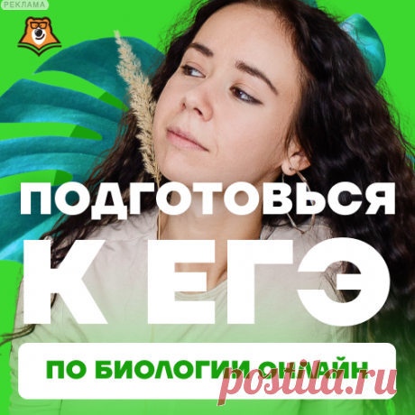 Подготовься к ЕГЭ с нуля на высокие баллы!