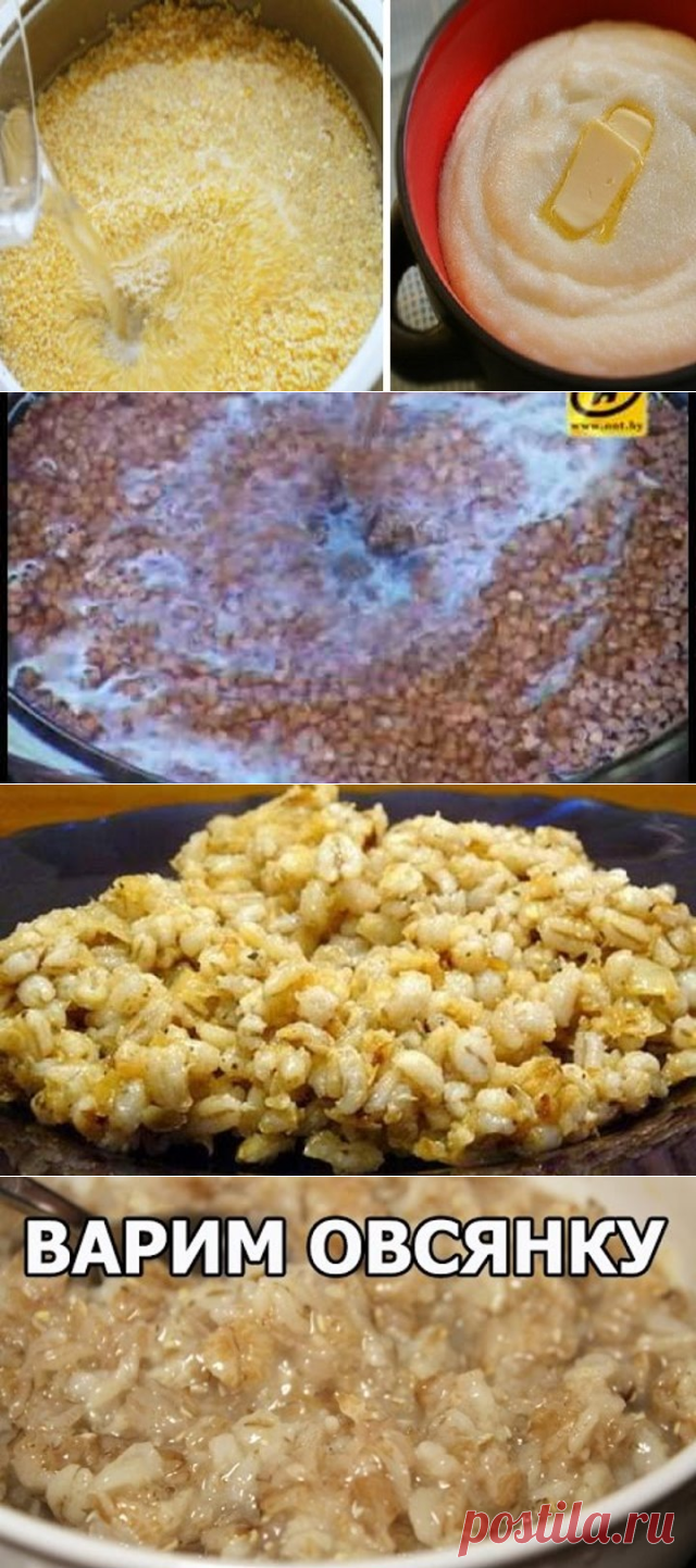 (82) Одноклассники