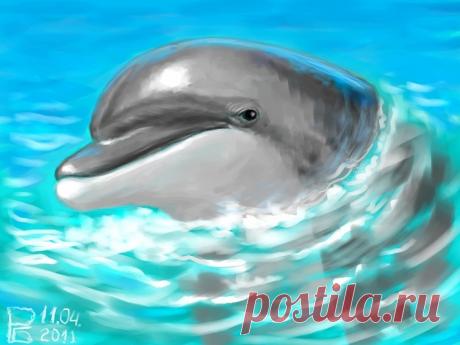 Дельфин-афалина