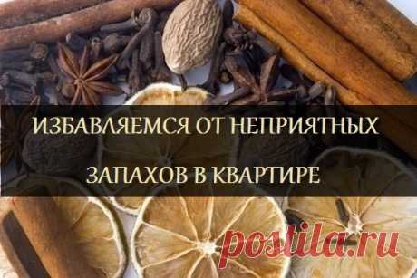 10 советов, как устранить неприятный запах в квартире