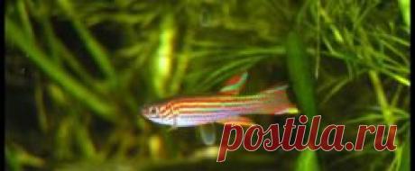 Мирный - Part 4