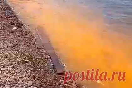 Неестественный цвет морской воды во Владивостоке сняли на видео. Во Владивостоке сняли на видео побережье в бухте Федорова с неестественным цветом морской воды. На кадрах видно, что вода у берега окрашена в рыжий цвет. Позже ученые национального научного центра морской биологии ДВО РАН объяснили, что вода оказалась окрашена в такой цвет из-за микроскопических водорослей.