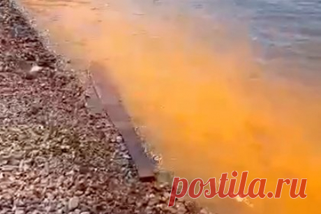 Неестественный цвет морской воды во Владивостоке сняли на видео. Во Владивостоке сняли на видео побережье в бухте Федорова с неестественным цветом морской воды. На кадрах видно, что вода у берега окрашена в рыжий цвет. Позже ученые национального научного центра морской биологии ДВО РАН объяснили, что вода оказалась окрашена в такой цвет из-за микроскопических водорослей.