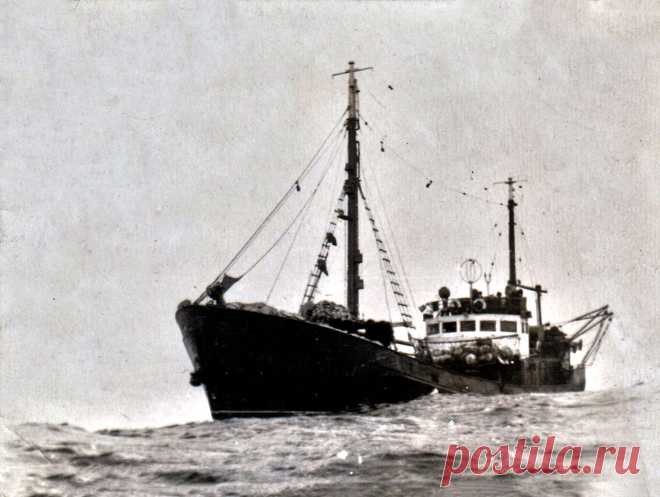 Подарок любимой Родине | Море жизнь | Яндекс Дзен