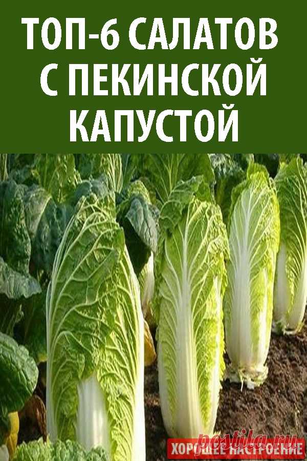 ТОП-6 Салатов с Пекинской Капустой