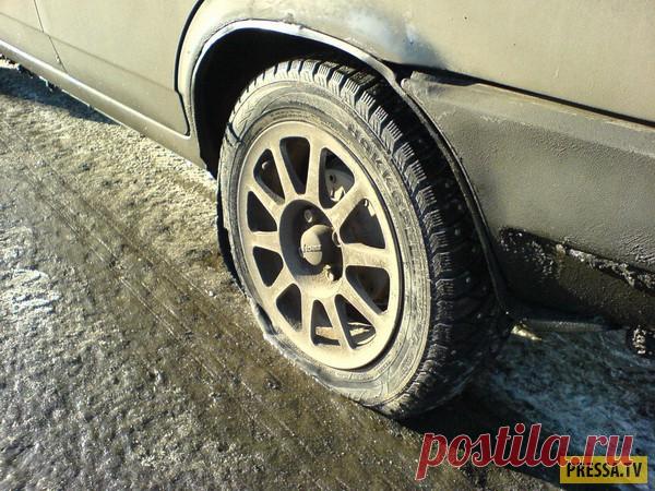 “Замечательные” соседи | Чёрт побери Все было хорошо... До тех пор пока в соседнем доме не сняли квартиру 