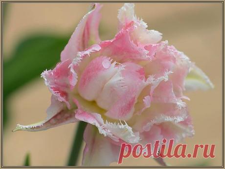 Мой Мир@Mail.Ru