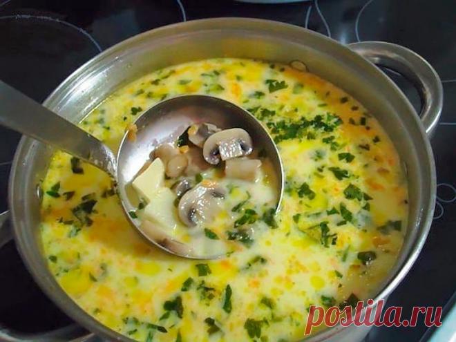 Самый вкусный ГРИБНОЙ сливочный суп Ингредиенты: шампиньоны — 200 грамм; картошка — 2 штуки; сливки (можно молоко) — 100 грамм; морковка — 1 штука; сырок плавленый — 70-100 грамм; лук репчатый — 1 штука; укроп — 1 пучок; соль — по вкусу;перец — по вкусу; растительное масло для жарки. Приготовление: Самый вкусный грибной сливочный суп. Пошаговый рецепт. Чтобы готовить грибной …