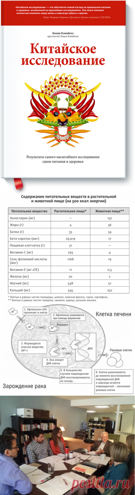 Китайское исследование (Колин Кэмпбелл) — МИФ