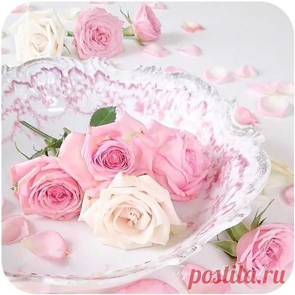 КАКОЙ СЕГОДНЯ ПРАЗДНИК? 12 Февраля 2020 г. – Среда • Международный день детей-солдат (День Красной руки, Red Hand Day) • Международный день брачных агентств (International Day of Marriage Agencies)10 лет • Собор трёх святителей • День прокладывания тропинок • День полиции общественной безопасности27 лет • День безумного желудка • Международный день науки и гуманизма (День Дарвина, Darwin Day) • День подразделений лицензионно-разрешительной работы МВД РФ18 лет • День репродуктивного здоровья…