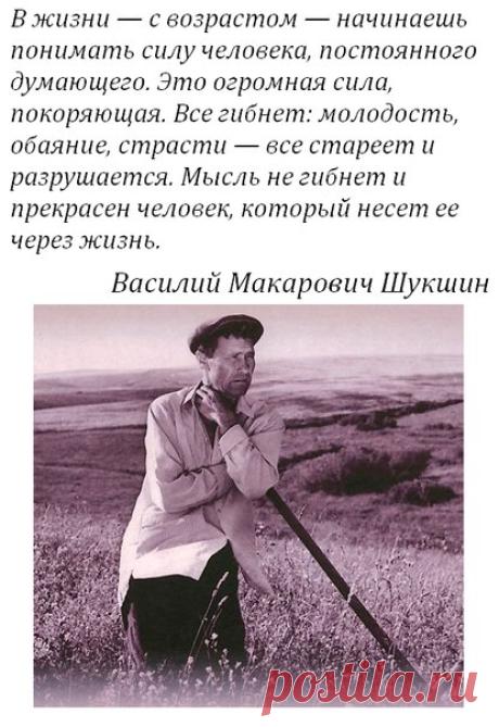 Google+