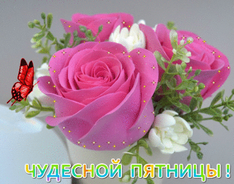 Чудесной пятницы!