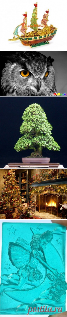 (8) Одноклассники