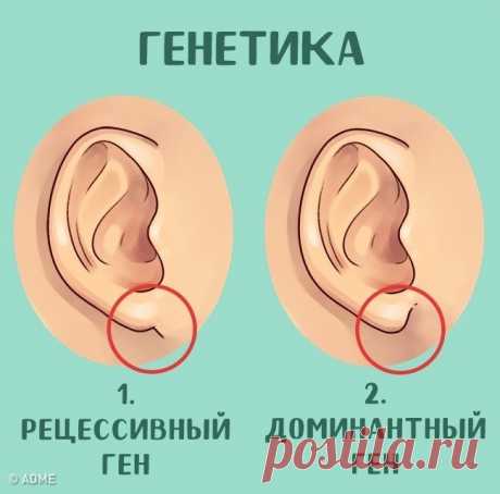 Дневник пользователя Любовь Тихомирова (sovaov) на Babyblog.ru