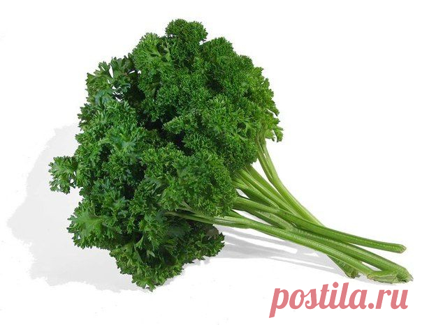 Вино из петрушки полезно сердечникам