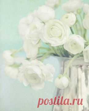 Самое важное - это навести порядок у себя в душе.