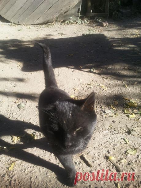 острые закуски