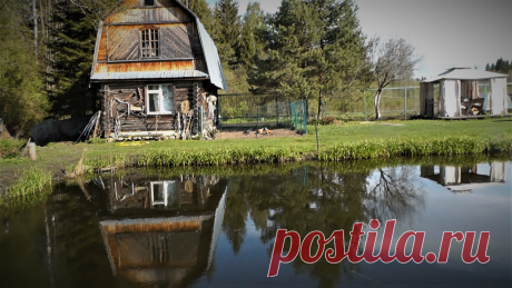 25 лет нашему пруду. Как копали и что сейчас | Хозяйство Воронова | Яндекс Дзен