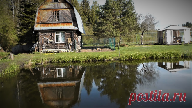 25 лет нашему пруду. Как копали и что сейчас | Хозяйство Воронова | Яндекс Дзен