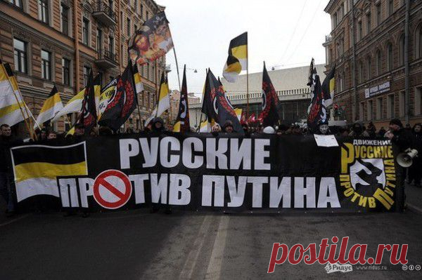 Устремленная в будущее! - Птица Дивная 8-0