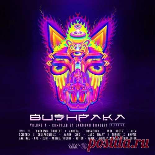VA – Bushpaka, Vol. 4 [ALPAK147] Sharing-DB.club