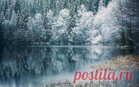 Интересные новости