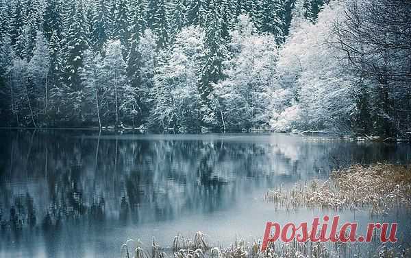 Интересные новости