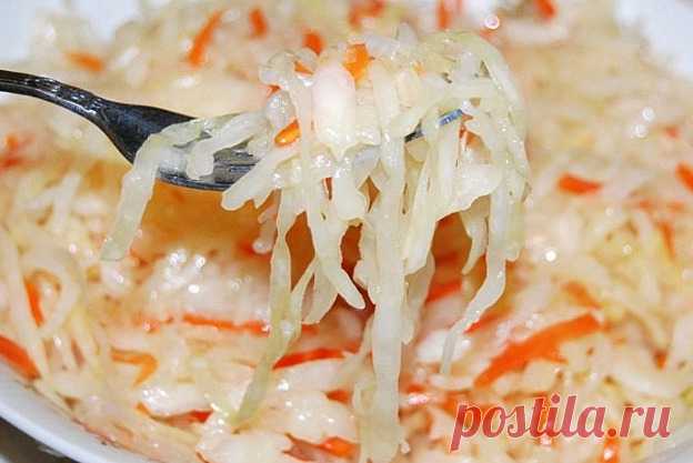 Квашеная капуста - 7 рецептов на 3 литровую банку, хрустящие и вкусные 7 лучших рецептов квашеной капусты в 3 литровых банках. Хрустящие и вкусные домашние заготовки: капуста нашинкованная и кусками, с рассолом и без, с яблоками и клюквой, с уксусом и сахаром. Советы и рекомендации по сохранению хруста вкусной закуски.