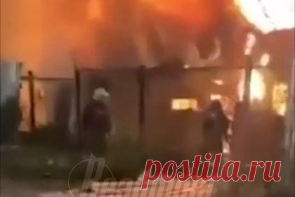 Омбудсмен прокомментировала гибель ребенка при падении БПЛА на дом под Москвой
