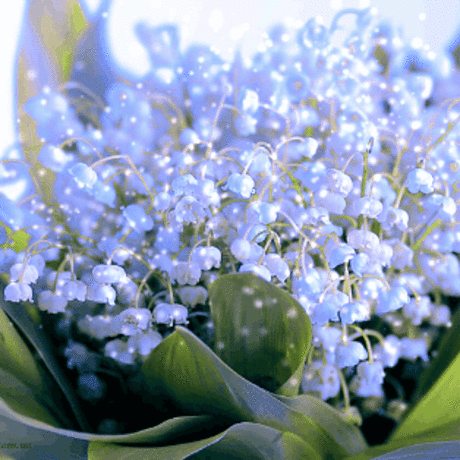 69494b87889b1265694276764cbf304a.gif (314×314)