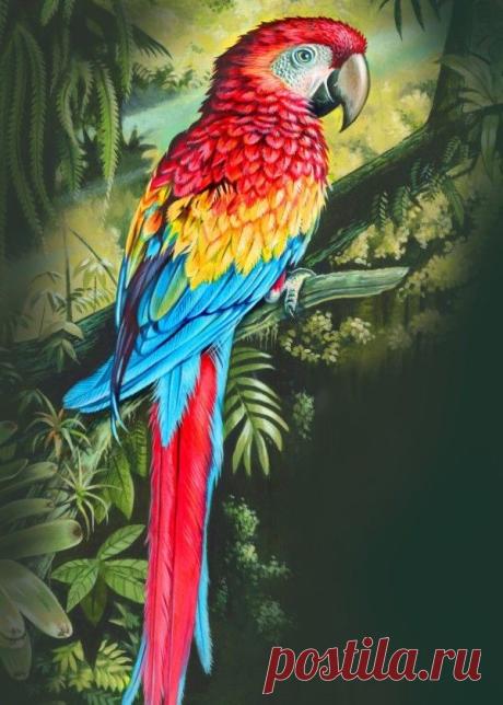 Jfj85enqp4o.jpg (600×840)
