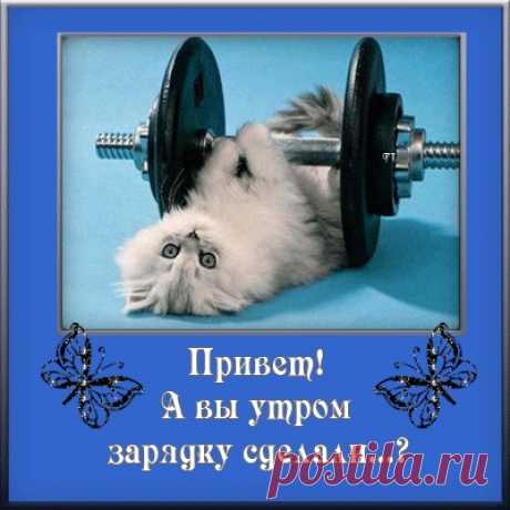 Открытки-приветы!