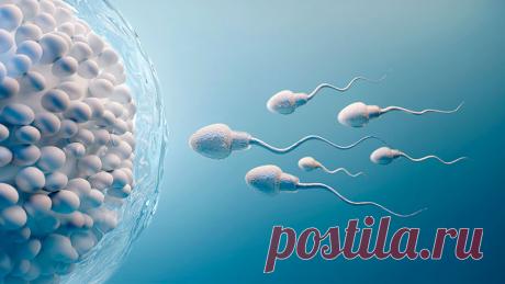 10 познавательных фактов о сперме человека