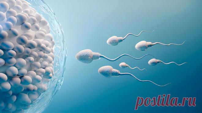 10 познавательных фактов о сперме человека